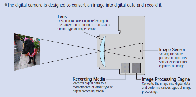 Schematic drawing showing how a digital camera works